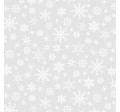 SNOW FLURRY