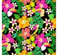 TOUCAN TROPICS
