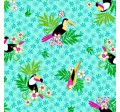 TOCO TOUCAN