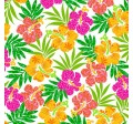 VIVID HIBISCUS