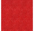 GARDEN PINDOT