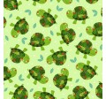 SMALL TURTLE