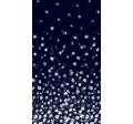 BLOOM BOOM BORDER
