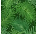 FERN TEXTURE