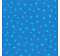 STARGAZER