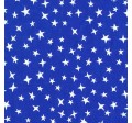 STARGAZER