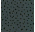 STARGAZER
