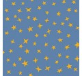 STARGAZER