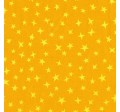 STARGAZER