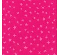 STARGAZER