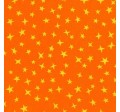 STARGAZER