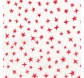 STARGAZER