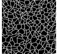 CRACKED EARTH