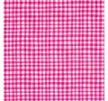 GINGHAM PLAY