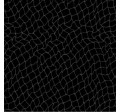 NETWORK