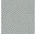 NETWORK