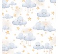 HEAVENLY CLOUDS
