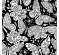 PAPILLON PAISLEY