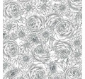 TIMELESS TOILE