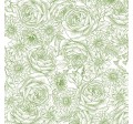 TIMELESS TOILE