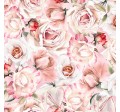 ROSE RELIEF