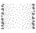 ELEPHANT BORDER