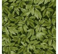 WISTERIA LEAVES