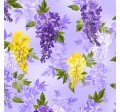 WISTERIA BREEZE