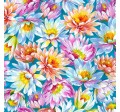 WATER LILY FLOWERS