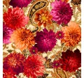 LAVISH DAHLIA