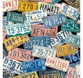 LICENSE PLATES