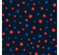 ITTY BITTY STARS