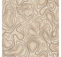 TOPOGRAPHY MAP