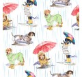 DOGS IN THE RAIN