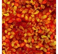 AUTUMN LEAVES
