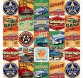 AMERICA'S GARAGE