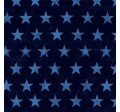 RUGGED STARS