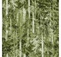 SUMMER FOREST