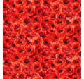 SCARLET MEADOW