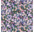 BELLFLOWER SONG