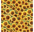 FIELDS OF SUNSHINE