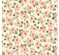PASTEL ROSE HAVEN