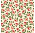 BLUSH ROSARIA