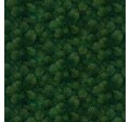 EVERGREEN GRACE