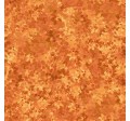 FALL FOLIAGE