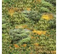 SAVANNA GRASSLAND