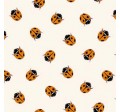 LADYBIRD