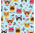 CRAZY CATS