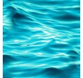 RIPPLING WAVES