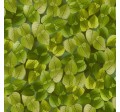 SHADOW LEAVES - NOT FOR PURCHASE BY MANUFACTURERS